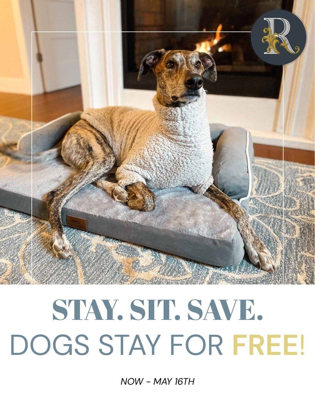 Stay. Sit. Save. Dogs Stay FREE!